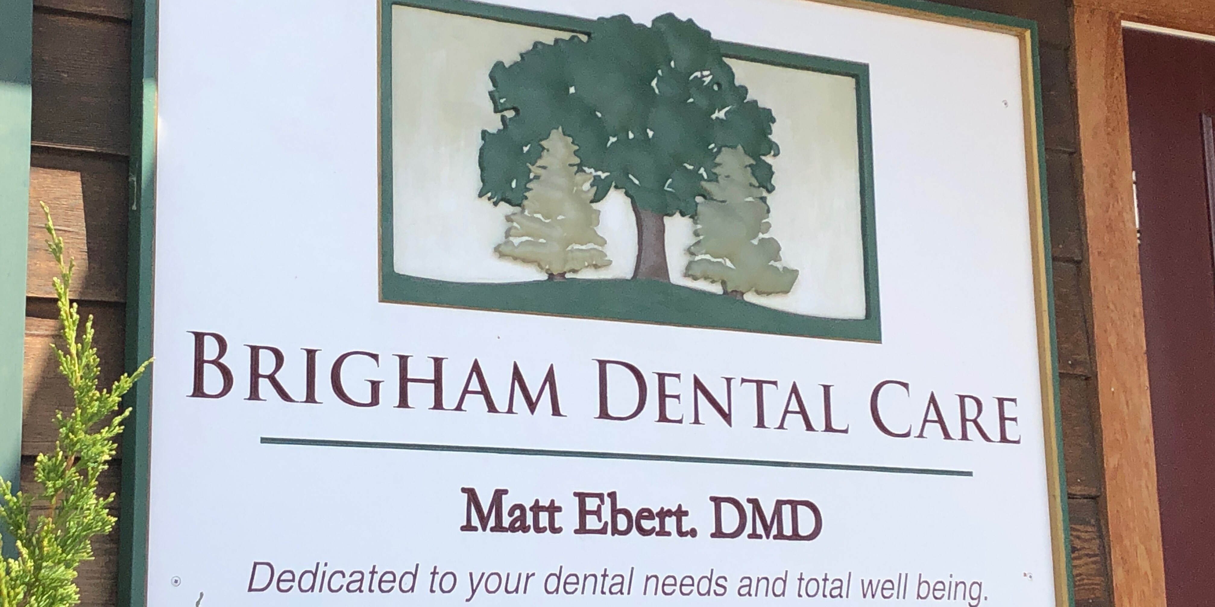 brigham dental care sign with trees carved on it